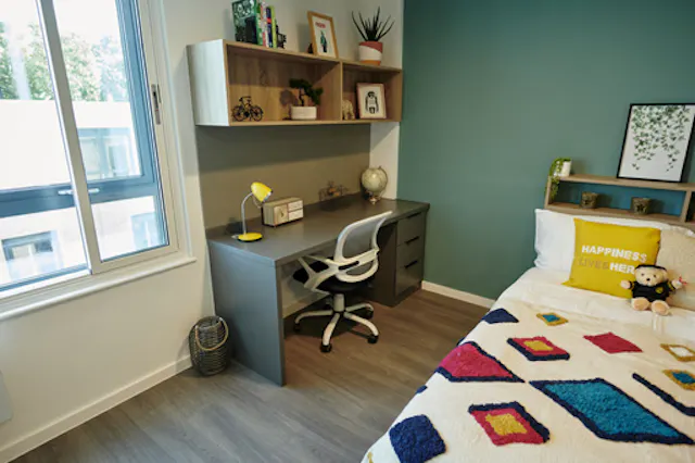 Silver Studio Lower Level room image 1
