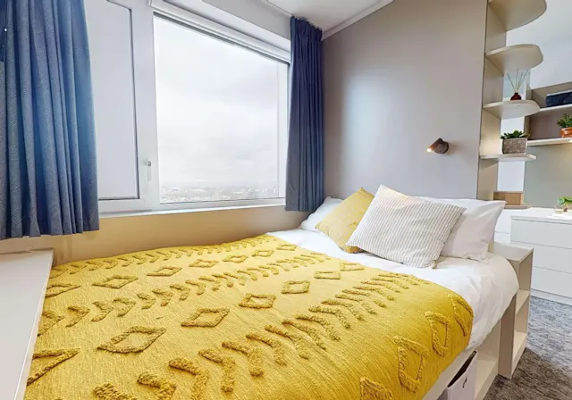 Silver Studio Plus room image 1