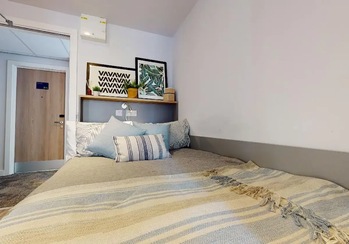 Silver Studio Plus ROOM