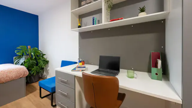 Silver Studio Plus room image 2