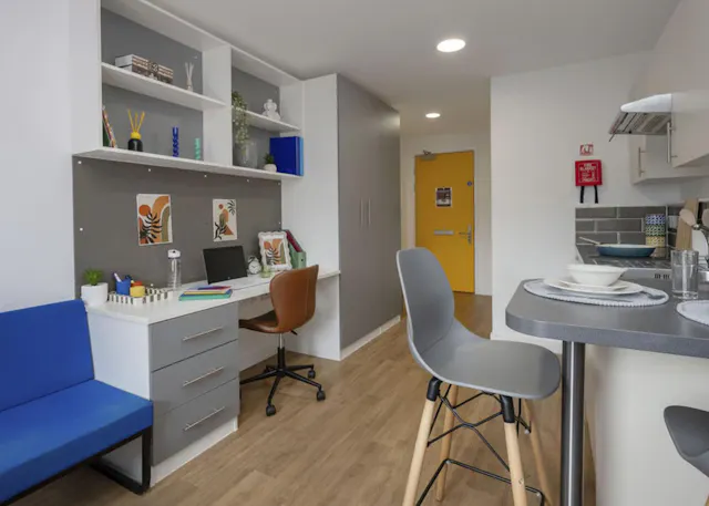 Silver Studio Plus room image 2