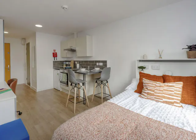 Silver Studio Plus room image 1