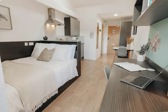Silver Studio Riverside (Top Floor) room image 1