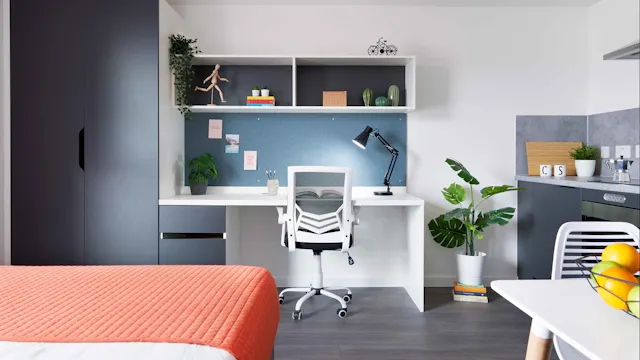 Silver Studio - Single Occupancy room image 1