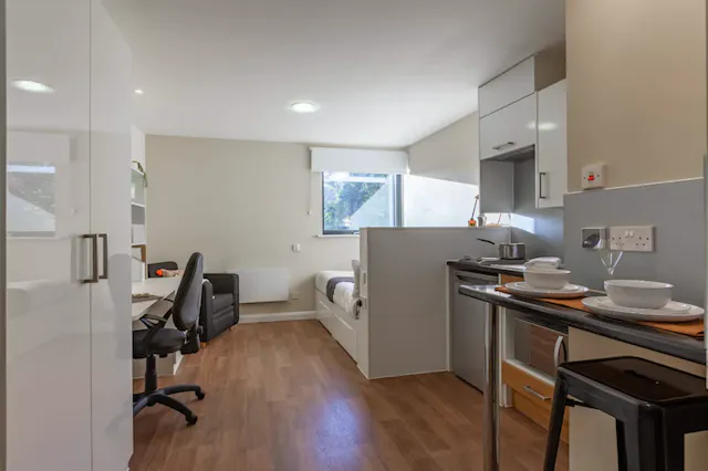 Silver Studio room image 1
