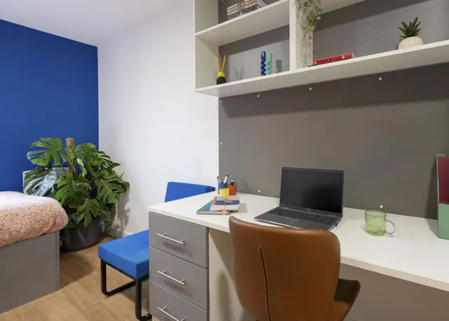 Silver Studio room image 2