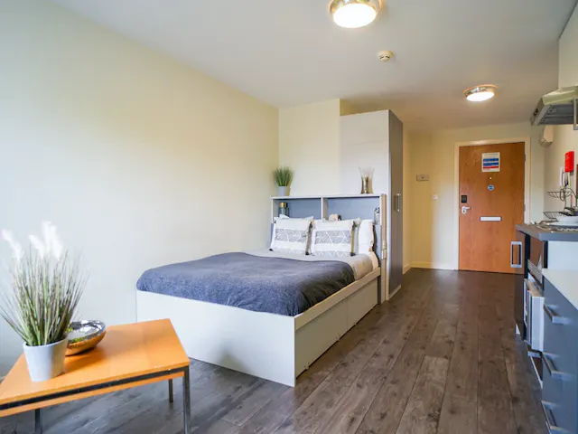 Silver Studio room image 1
