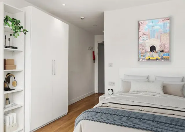 Silver En Suite Plus Lower Level room image 1