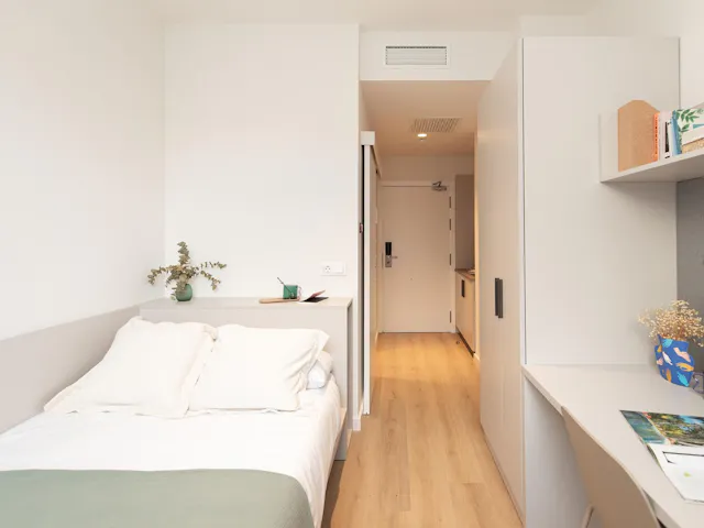 Single Basic room image 1