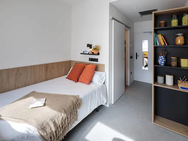 Single Basic room image 1