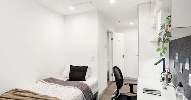 Single Bedroom- 3 Share Apt room image 2