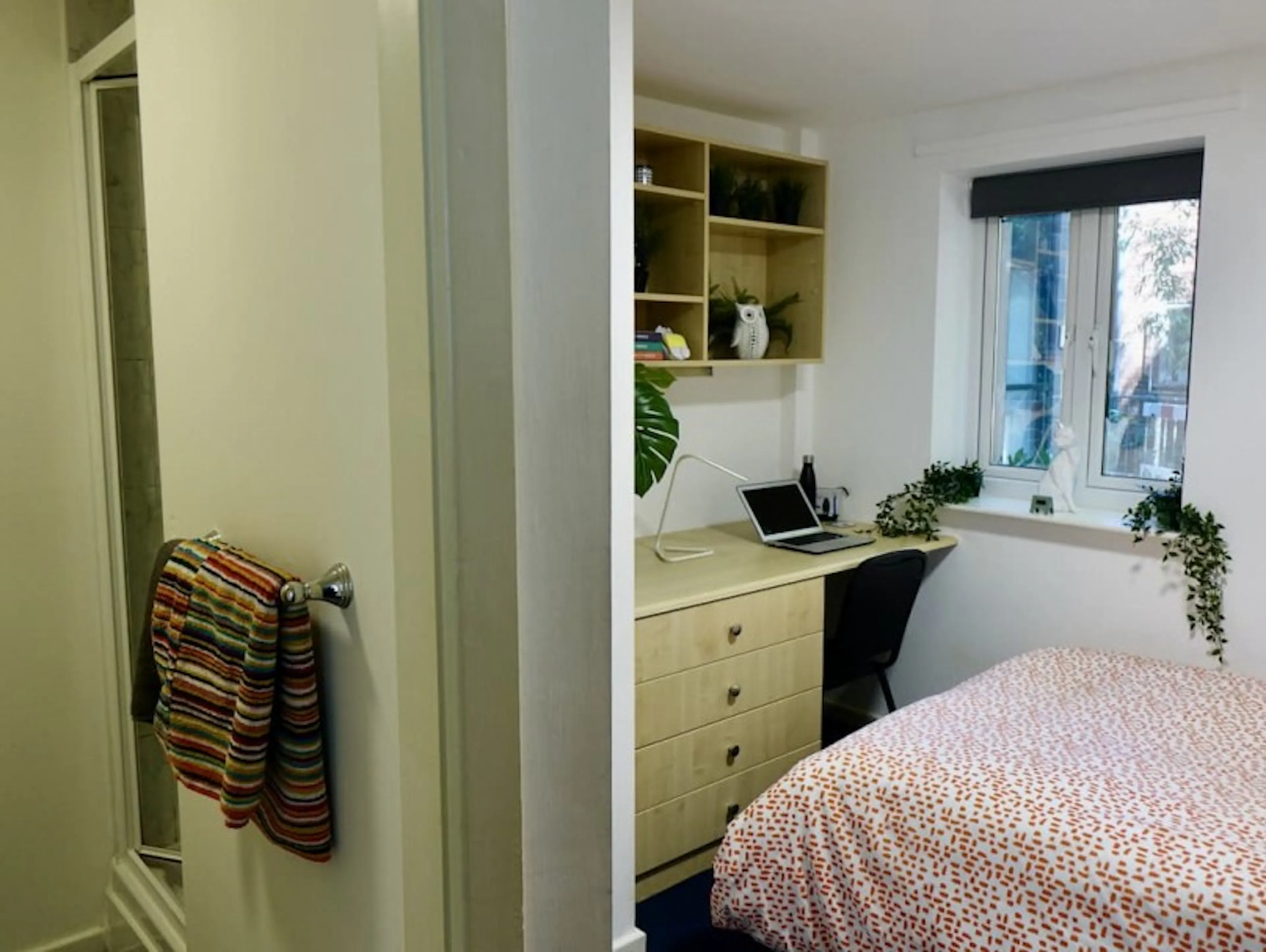 Single Ensuite ROOM 2