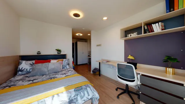 Single Studio Plus room image 2