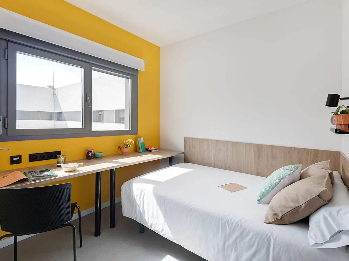 Single + ROOM