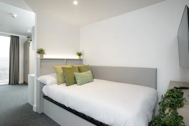 true Sky Studio Plus room image 1