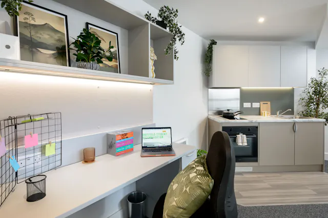 true Superior Studio room image 3