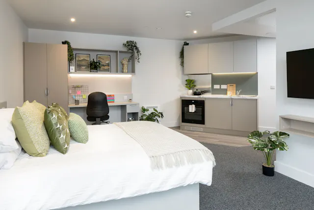 true Sky Superior Studio room image 1