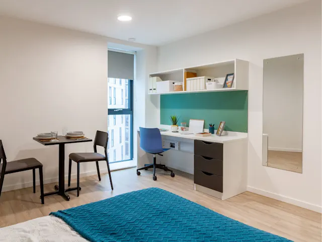 Skyline Platinum Studio room image 2