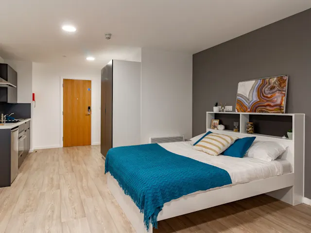 Skyline Platinum Studio room image 2