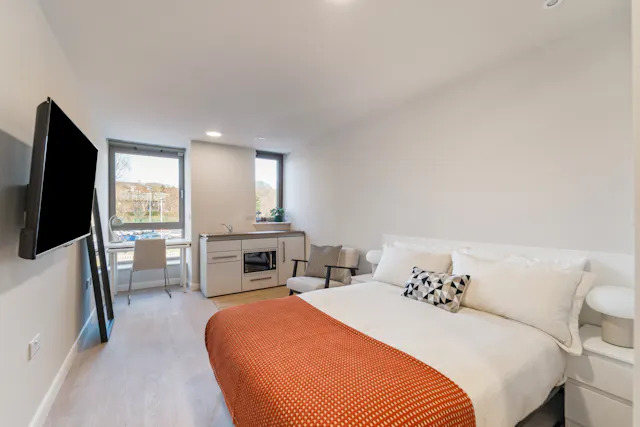 Premium Studio room image 1