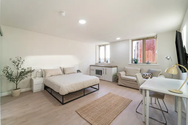 Deluxe Studio room image 1