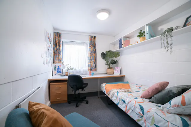 Single Room room image 1