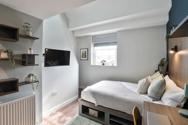 Premium Duplex room image 4