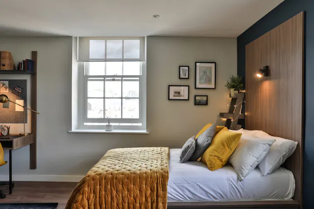 Premium Studio room image 2
