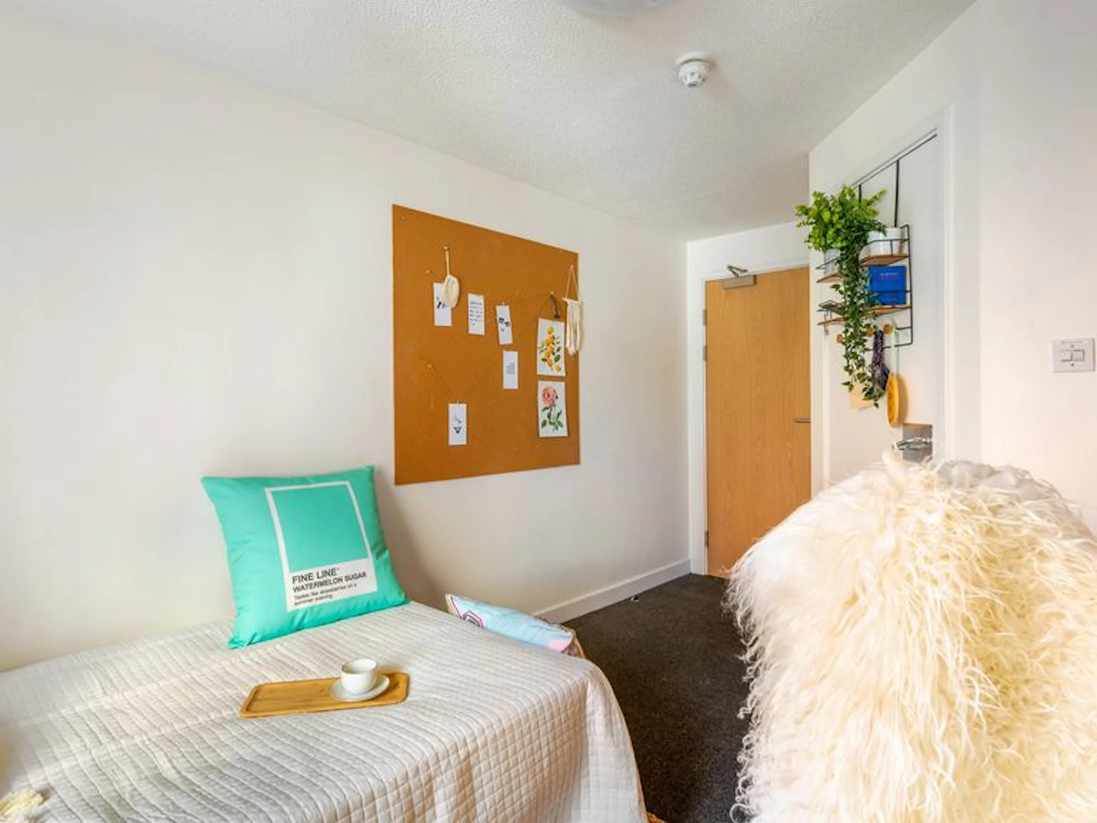 Standard ROOM 4