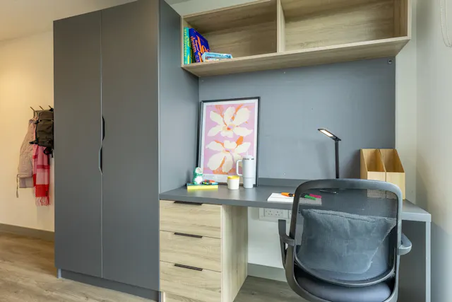 Standard Plus Ensuite room image 1