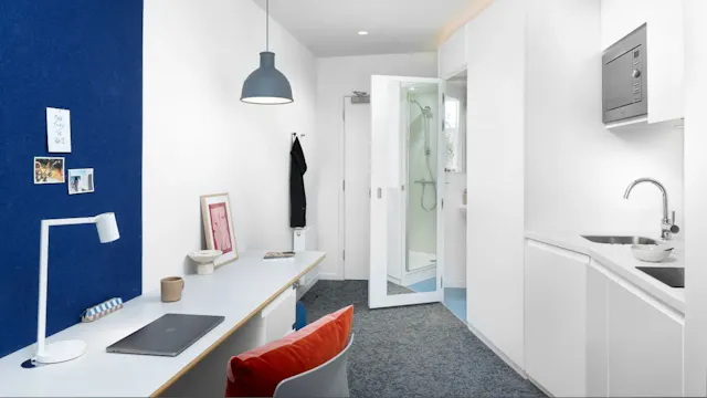 Standard Plus Studio room image 2