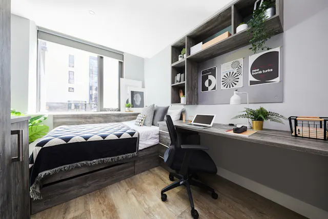 Standard Plus Studio room image 1