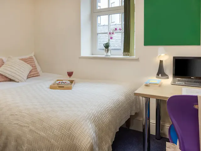 Standard Room room image 2