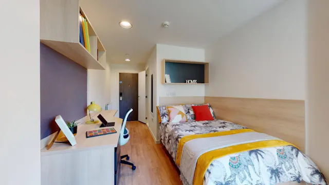 Standard Single Plus room image 1
