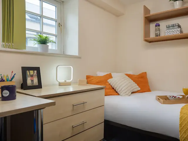 Standard Single room image 2