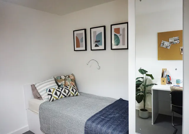 Standard Single room image 1