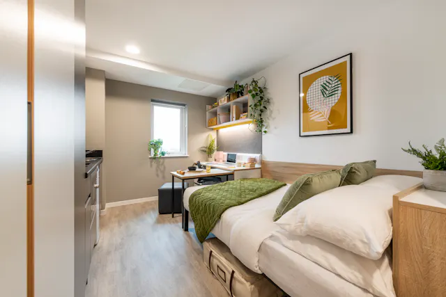 Standard Studio room image 2