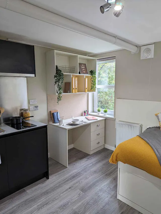 Standard Studio room image 4