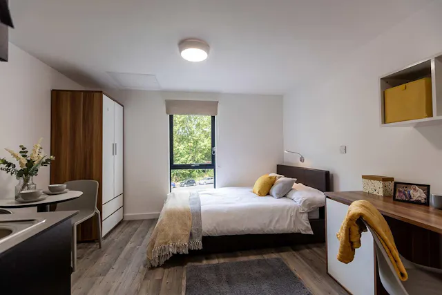 Standard Studio room image 1