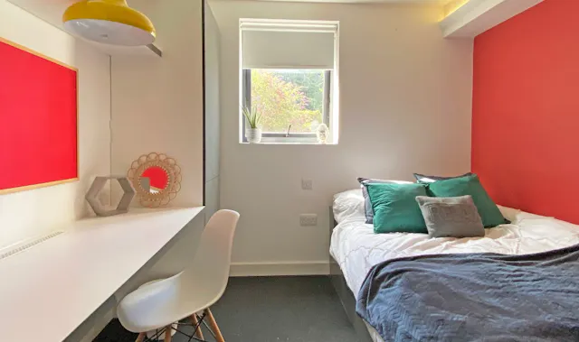 Standard Studio Plus room image 1