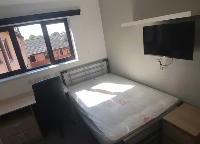 Standard Studio ( Hall B) room image 1