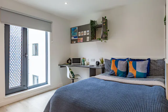 Standard Studio room image 2