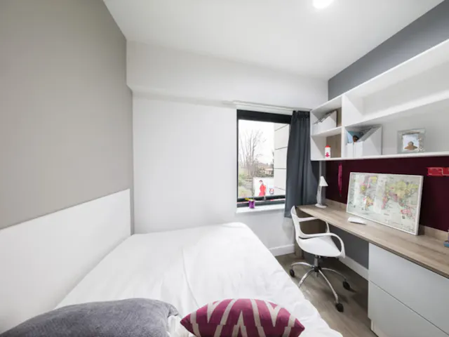 Standard Studio room image 2