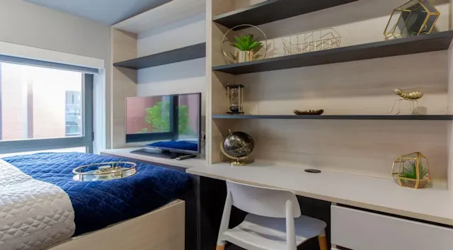 Standard Studio room image 2