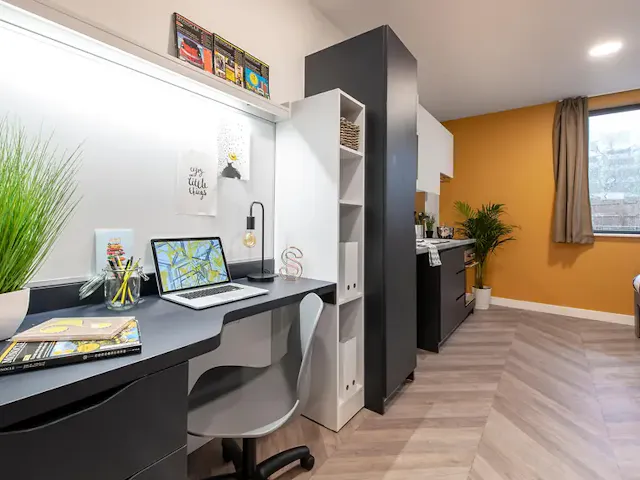 Standard Studio room image 2