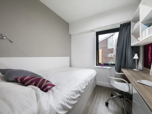 Standard Studio room image 2