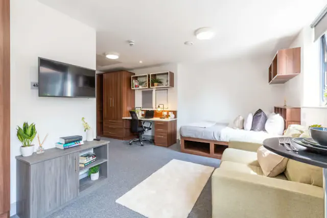 Standard Studio room image 2