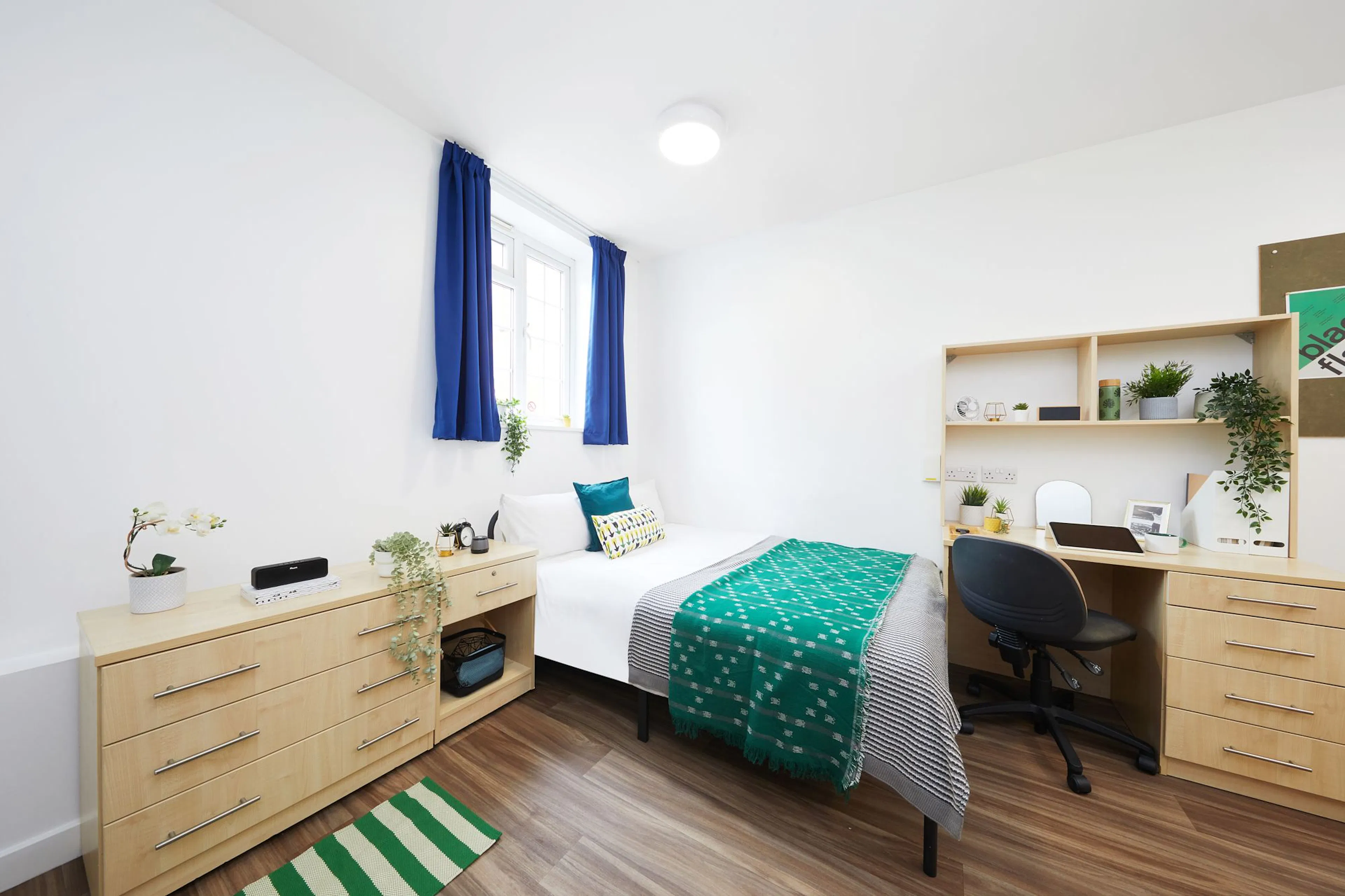 Standard Studio ROOM 4