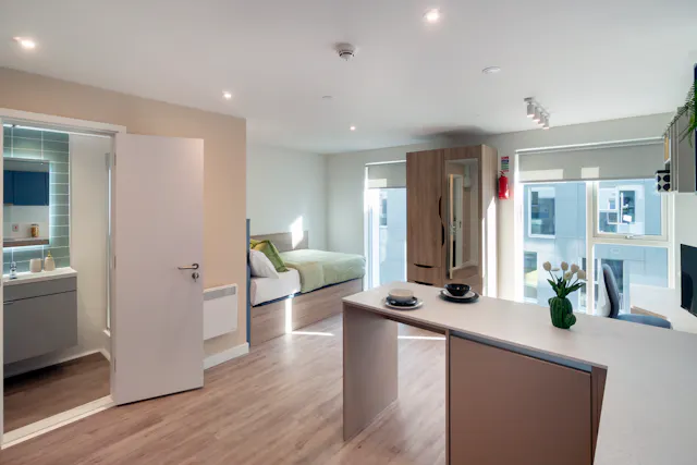 Standard Studio room image 3