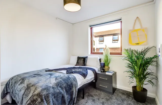 Standard Room room image 1